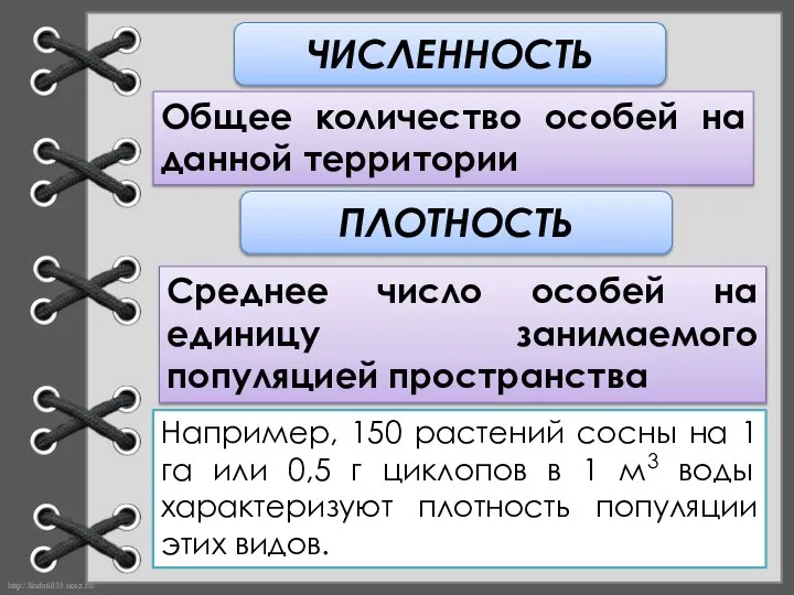 ЧИСЛЕННОСТЬ Общее количество особей на данной территории ПЛОТНОСТЬ Среднее число особей