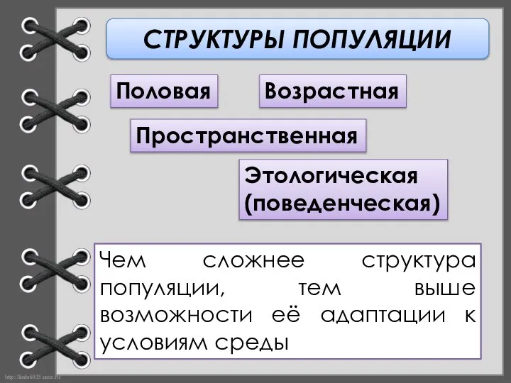 СТРУКТУРЫ ПОПУЛЯЦИИ Половая Возрастная Пространственная Этологическая (поведенческая) Чем сложнее структура популяции,