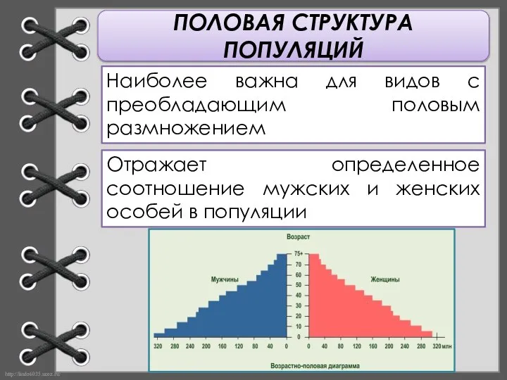 ПОЛОВАЯ СТРУКТУРА ПОПУЛЯЦИЙ Наиболее важна для видов с преобладающим половым размножением