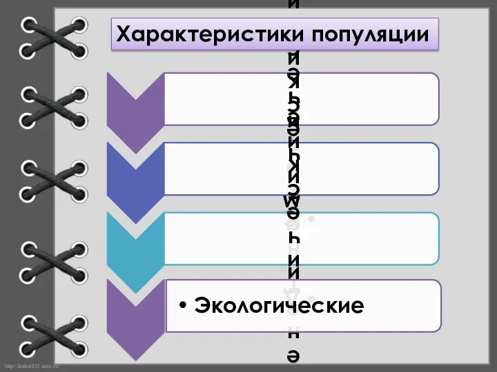 Характеристики популяции