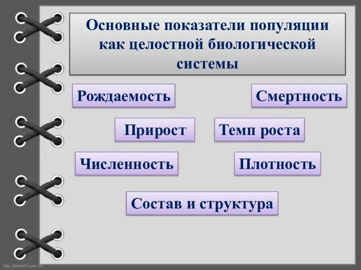 Основные показатели популяции как целостной биологической системы Рождаемость Смертность Прирост Темп