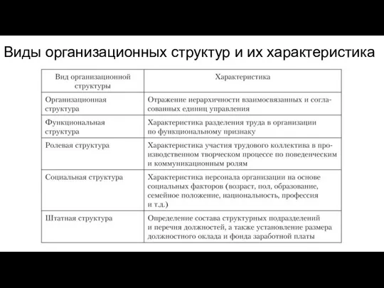 Виды организационных структур и их характеристика