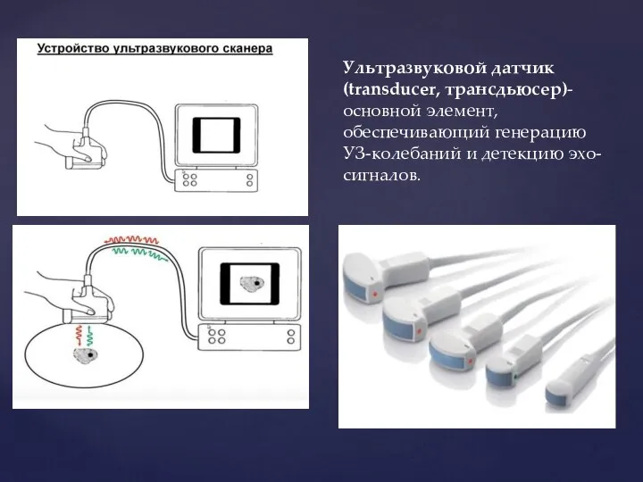 Ультразвуковой датчик (transduсer, трансдьюсер)- основной элемент, обеспечивающий генерацию УЗ-колебаний и детекцию эхо-сигналов.