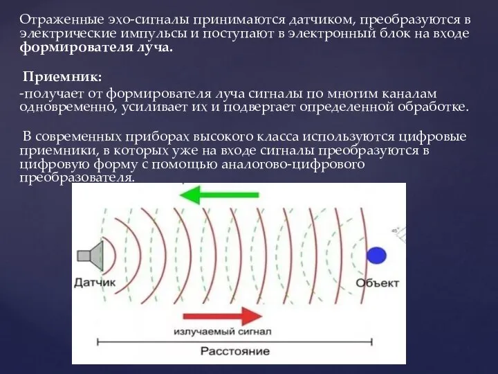 Отраженные эхо-сигналы принимаются датчиком, преобразуются в электрические импульсы и поступают в