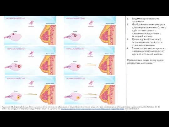 Видим сверху отдельно пролактин Изображаем анимацию: рост фолликула в яичнике. От