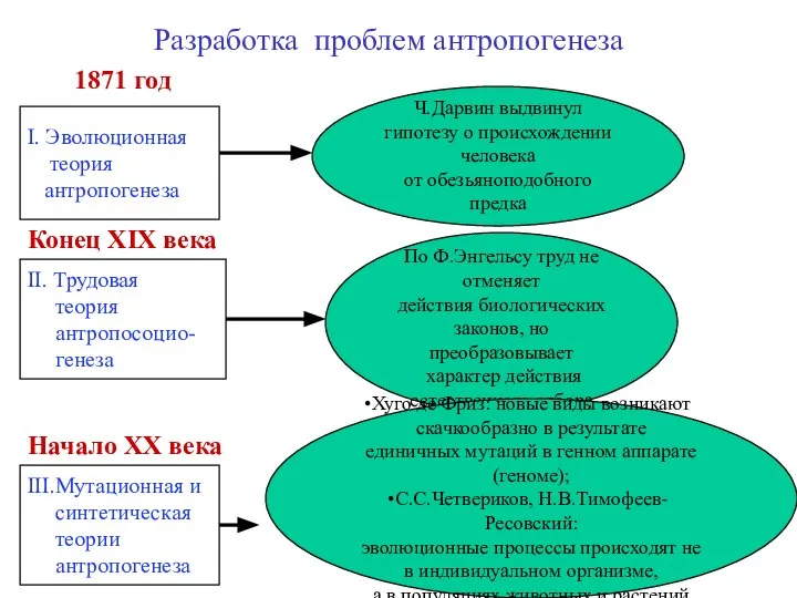 Ч.Дарвин выдвинул гипотезу о происхождении человека от обезьяноподобного предка I. Эволюционная