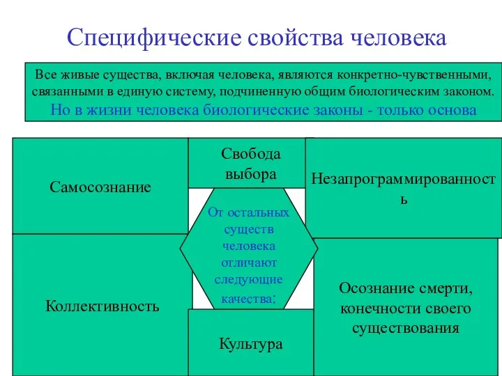 Специфические свойства человека Все живые существа, включая человека, являются конкретно-чувственными, связанными