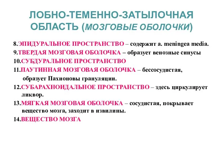 ЛОБНО-ТЕМЕННО-ЗАТЫЛОЧНАЯ ОБЛАСТЬ (МОЗГОВЫЕ ОБОЛОЧКИ) 8.ЭПИДУРАЛЬНОЕ ПРОСТРАНСТВО – содержит a. meningea media.