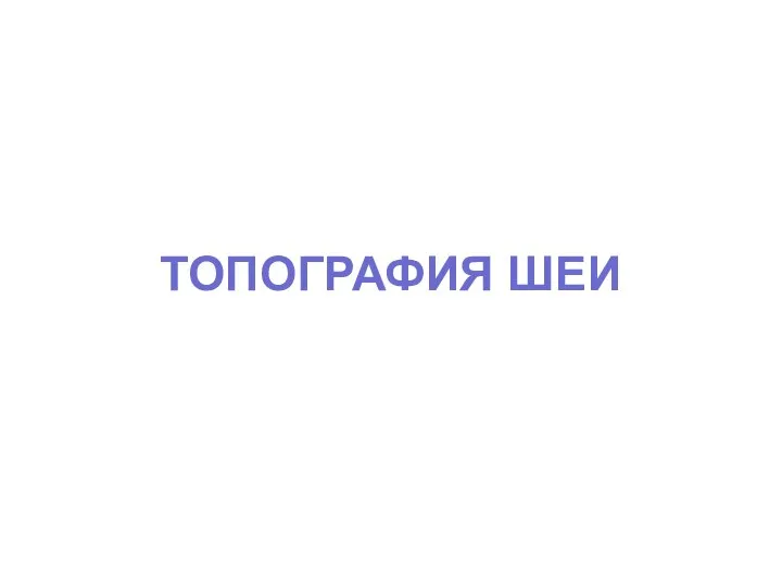 ТОПОГРАФИЯ ШЕИ