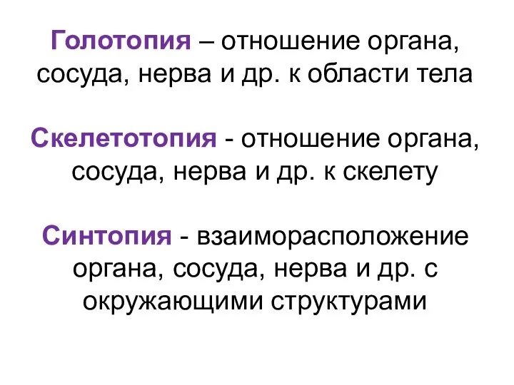 Голотопия – отношение органа, сосуда, нерва и др. к области тела