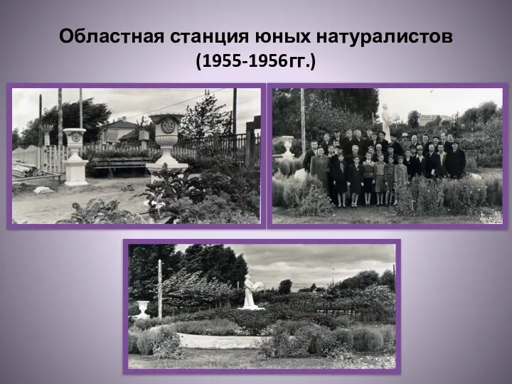 Областная станция юных натуралистов (1955-1956гг.)