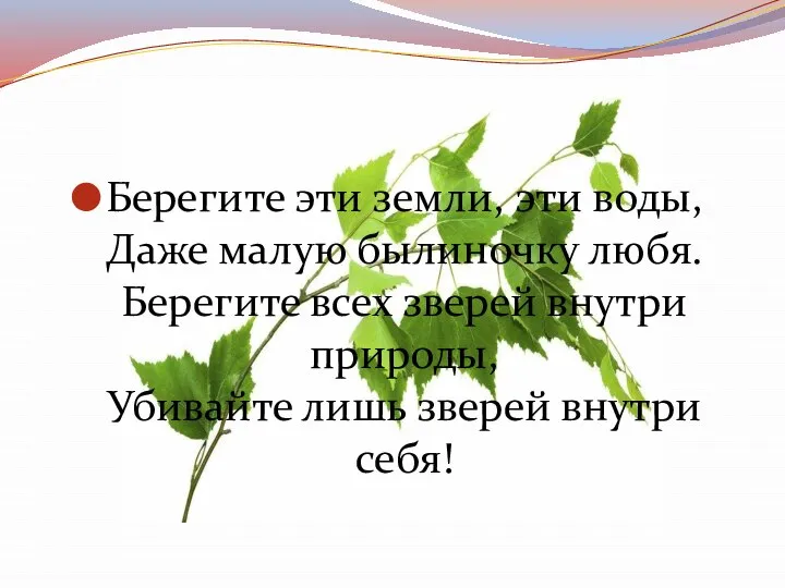 Берегите эти земли, эти воды, Даже малую былиночку любя. Берегите всех