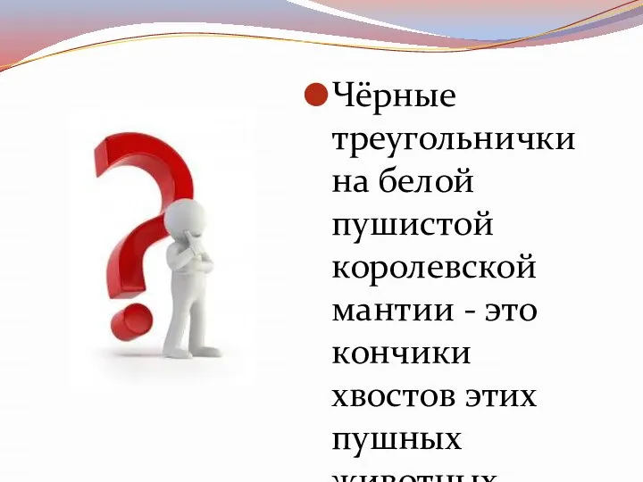 Чёрные треугольнички на белой пушистой королевской мантии - это кончики хвостов этих пушных животных.