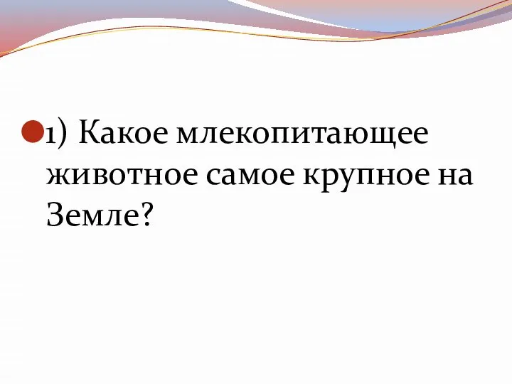 1) Какое млекопитающее животное самое крупное на Земле?