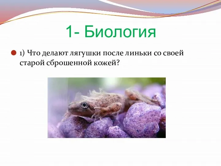 1- Биология 1) Что делают лягушки после линьки со своей старой сброшенной кожей?