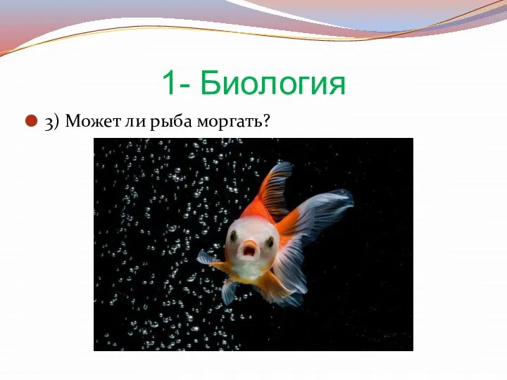 1- Биология 3) Может ли рыба моргать?