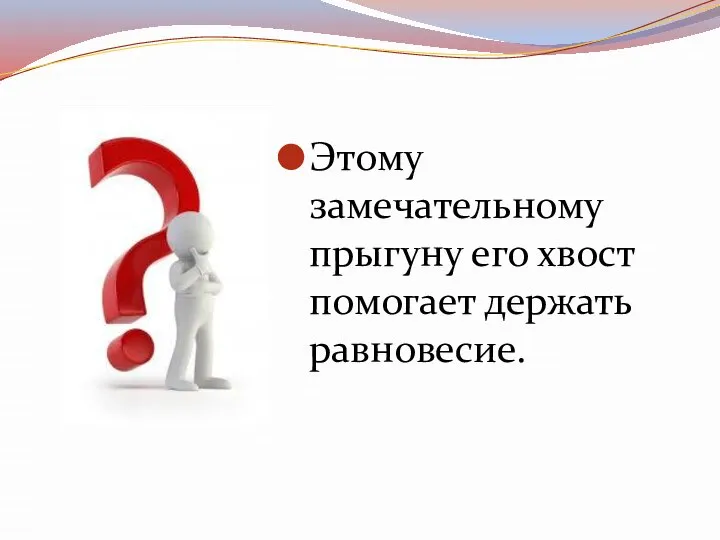 Этому замечательному прыгуну его хвост помогает держать равновесие.