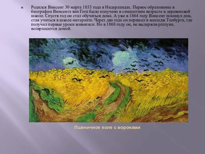 Пшеничное поле с воронами Родился Винсент 30 марта 1853 года в