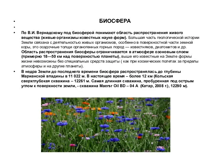 БИОСФЕРА По В.И. Вернадскому под биосферой понимают область распространения живого вещества