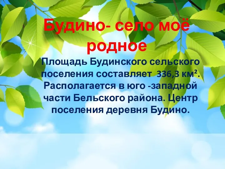 Площадь Будинского сельского поселения составляет 336,3 км². Располагается в юго -западной