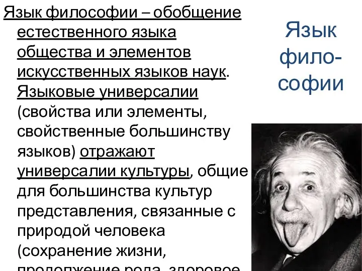 Язык философии – обобщение естественного языка общества и элементов искусственных языков