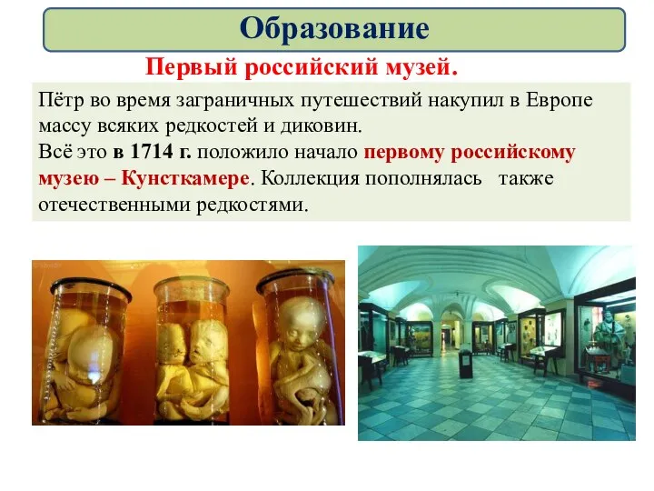 Первый российский музей. Пётр во время заграничных путешествий накупил в Европе
