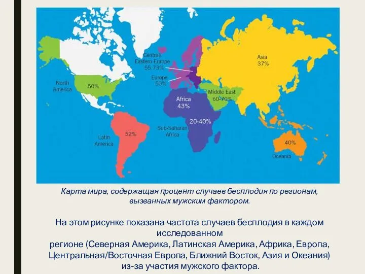 Карта мира, содержащая процент случаев бесплодия по регионам, вызванных мужским фактором.
