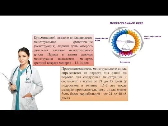 Кульминацией каждого цикла является менструальное кровотечение (менструация), первый день которого считается