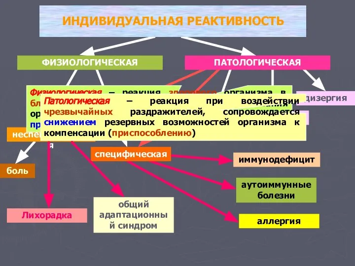 гиперергия гипоерергия дизергия ПАТОЛОГИЧЕСКАЯ ИНДИВИДУАЛЬНАЯ РЕАКТИВНОСТЬ ФИЗИОЛОГИЧЕСКАЯ аллергия иммунодефицит аутоиммунные болезни