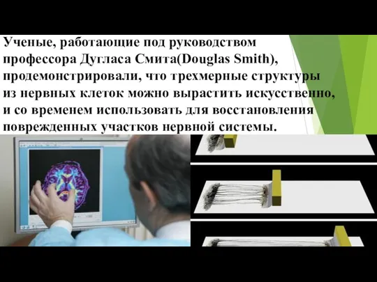 Ученые, работающие под руководством профессора Дугласа Смита(Douglas Smith), продемонстрировали, что трехмерные