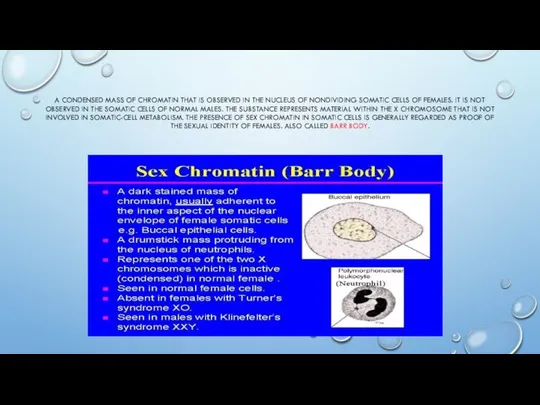 A CONDENSED MASS OF CHROMATIN THAT IS OBSERVED IN THE NUCLEUS