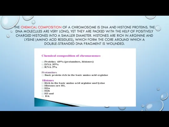 THE CHEMICAL COMPOSITION OF A CHROMOSOME IS DNA AND HISTONE PROTEINS.