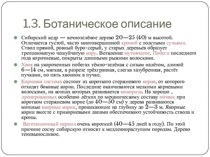 1.3. Ботаническое описание Сибирский кедр — вечнозелёное дерево 20—25 (40) м