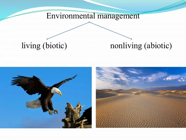 Environmental management living (biotic) nonliving (abiotic)