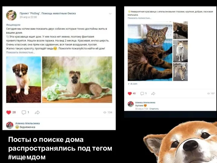 Посты о поиске дома распространялись под тегом #ищемдом