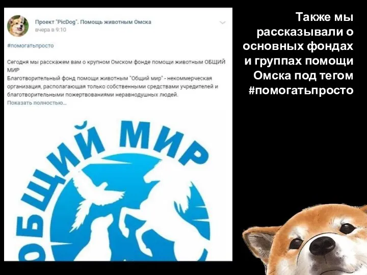 Также мы рассказывали о основных фондах и группах помощи Омска под тегом #помогатьпросто