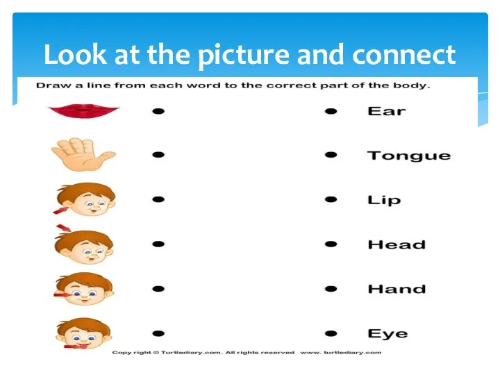 Look at the picture and connect