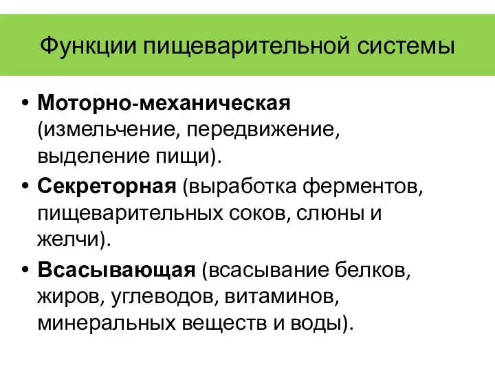 Функции пищеварительной системы Моторно-механическая (измельчение, передвижение, выделение пищи). Секреторная (выработка ферментов,