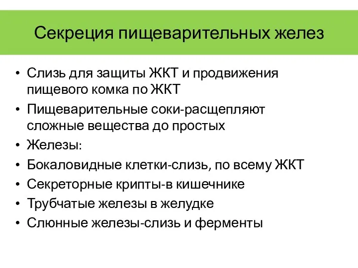 Секреция пищеварительных желез Слизь для защиты ЖКТ и продвижения пищевого комка