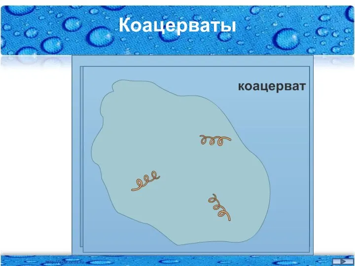 Коацерваты