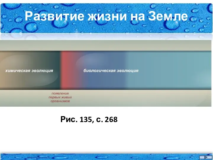 Развитие жизни на Земле Рис. 135, с. 268