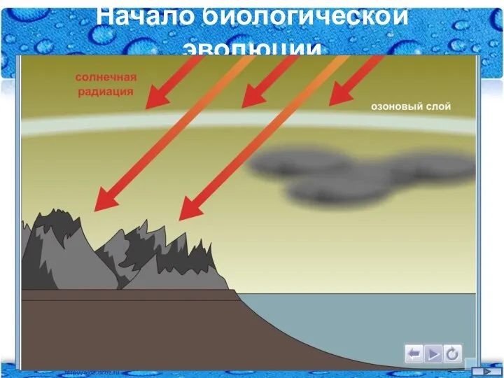 Начало биологической эволюции