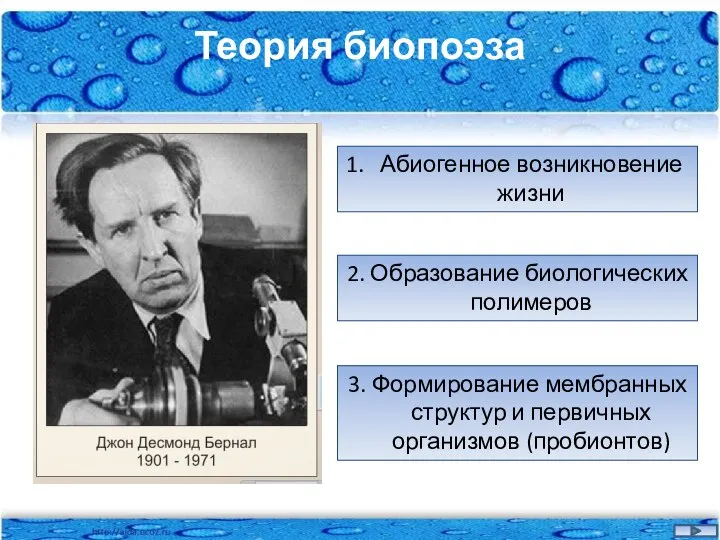 Теория биопоэза Абиогенное возникновение жизни 2. Образование биологических полимеров 3. Формирование