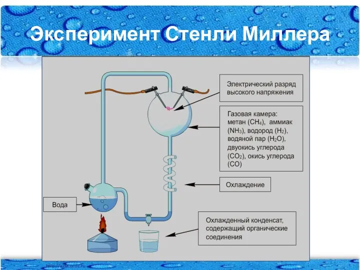 Эксперимент Стенли Миллера