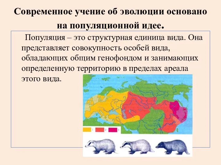 Современное учение об эволюции основано на популяционной идее. Популяция – это