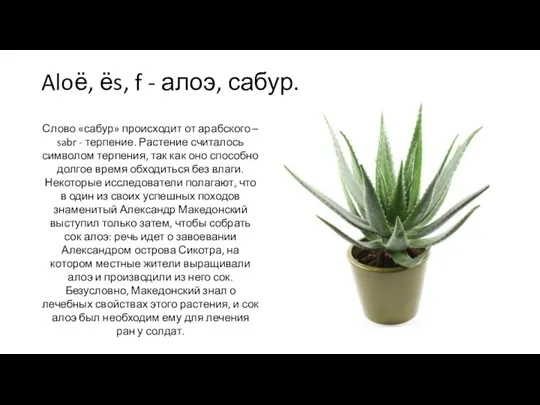 Aloё, ёs, f - алоэ, сабур. Слово «сабур» происходит от арабского