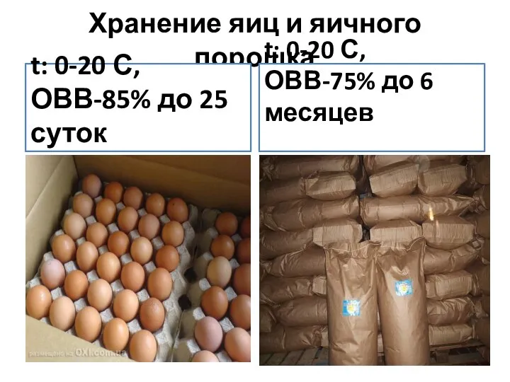 Хранение яиц и яичного порошка t: 0-20 С, ОВВ-85% до 25