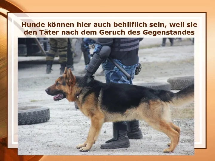 Hunde können hier auch behilflich sein, weil sie den Täter nach