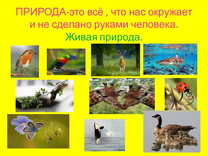 ПРИРОДА-это всё , что нас окружает и не сделано руками человека. Живая природа.