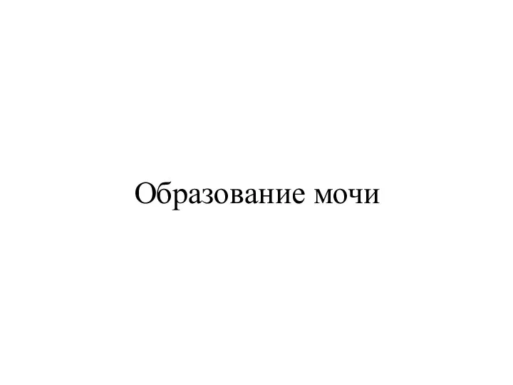 Образование мочи